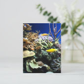 Carte Postale Barrière tropicale 3 (Debout devant)