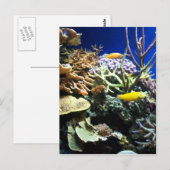 Carte Postale Barrière tropicale 3 (Devant / Derrière)