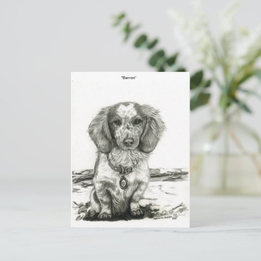 Carte Postale Barron (Debout devant)