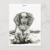 Carte Postale Barron (Devant)