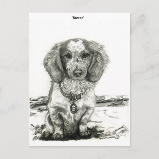 Carte Postale Barron (Devant)