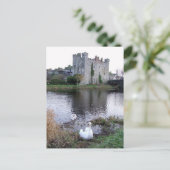 Carte Postale Barrow River Swan, White's Castle Athy Co. Kildare (Debout devant)