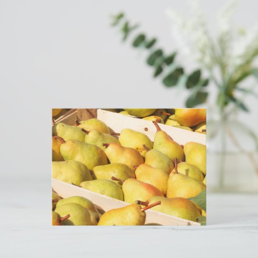 Carte postale Bartlett Pears (Debout devant)