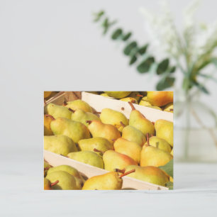 Carte postale Bartlett Pears