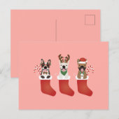 Carte Postale Bas de Noël pour Bouledogues Français (Devant / Derrière)