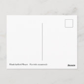 Carte Postale Basculement à ventre noir (Dos)