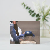 Carte Postale Baseball 5 (Debout devant)