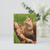 Carte Postale Baseball Aimer Chipmunk (Debout devant)