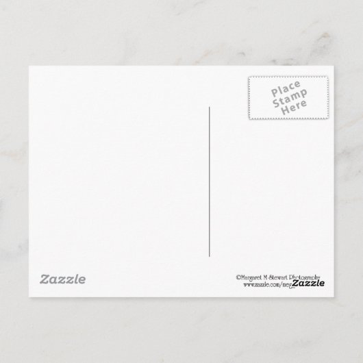 Carte Postale Baseball Aimer Chipmunk (Dos)