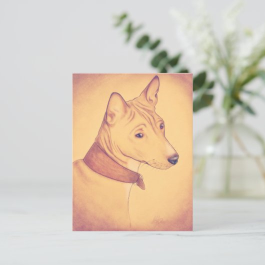 Carte postale Basenji (Debout devant)