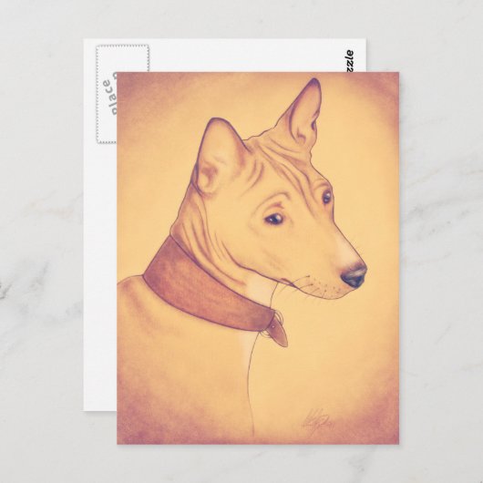 Carte postale Basenji (Devant / Derrière)
