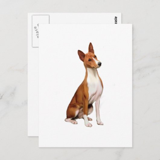 Carte Postale Basenji (C) (Devant / Derrière)