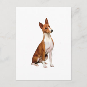 Carte Postale Basenji (C)
