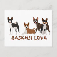 Basenji Love Chien race Brindle Rouge Blanc Noir t