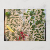 Carte Postale Basil et poivrons (Devant)