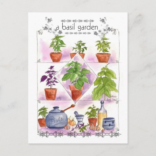Carte Postale Basil Garden Aquarelle Herbe Art Pesto Ail (Devant)