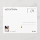 Carte Postale Basilique de Dolores, San Francisco, Californie (Dos)