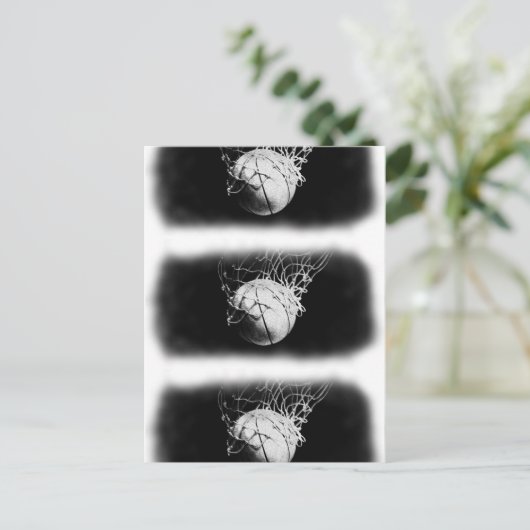 Carte Postale Basket-ball noir et blanc (Debout devant)