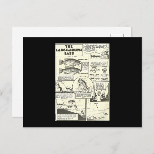 Carte Postale Bass Baits Cute (Devant / Derrière)