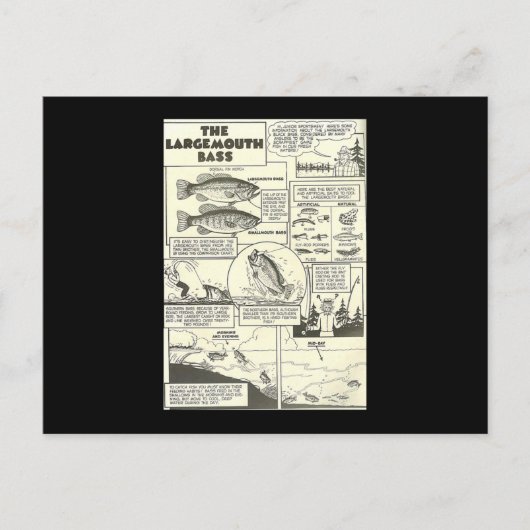 Carte Postale Bass Baits Cute (Devant)