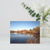 Carte Postale Bass Pond One (Debout devant)