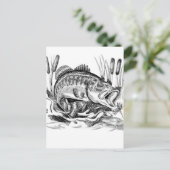 Carte Postale Basse à grande bouche (Debout devant)