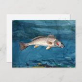 Carte Postale Basse canal vintage Winslow Homer (Devant / Derrière)