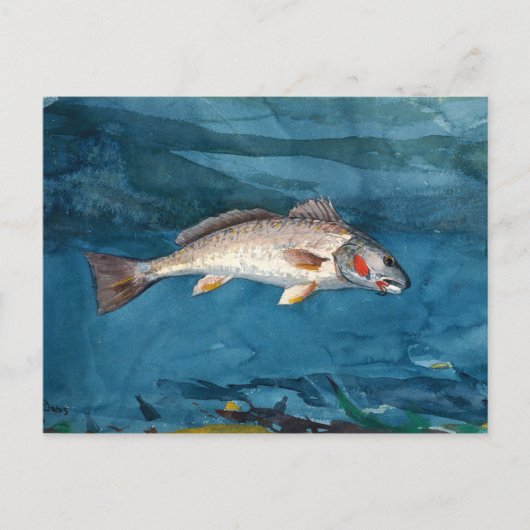 Carte Postale Basse canal vintage Winslow Homer (Devant)