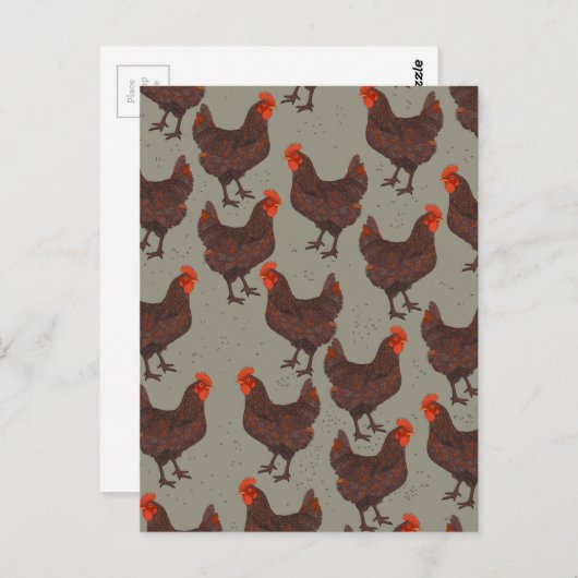 Carte Postale Basse-cour de coq (Devant / Derrière)