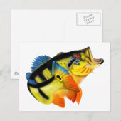 Carte Postale Basse de paon 3 (Devant / Derrière)