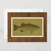 Carte Postale Basse noire sur un Arrière - plan vert (Devant / Derrière)