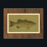 Carte Postale Basse noire sur un Arrière - plan vert<br><div class="desc">Ce morceau d'oeuvre plaira à tout amateur de poisson. Le tableau représente une basse noire nageant dans l'eau verte. Dans cette image,  les bordures marron en font une pièce d'art décorative parfaite.</div>