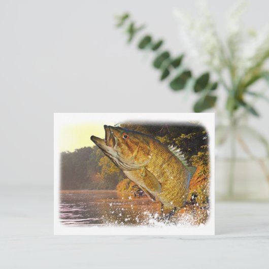 Carte Postale Basse Smallmouth (Debout devant)