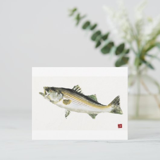 Carte Postale Basse striée (Debout devant)