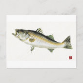 Carte Postale Basse striée (Devant)