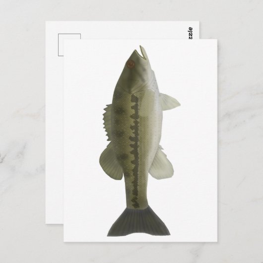 Carte Postale Basse tachetée (Devant / Derrière)