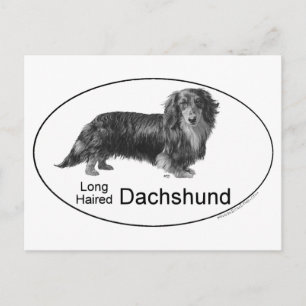 Carte Postale Basset allemand