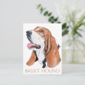 Carte Postale Basset Hound (Debout devant)