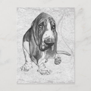 Carte Postale Basset Hound
