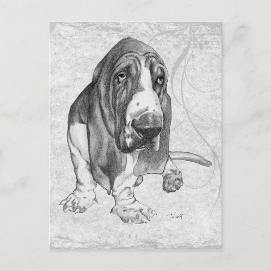 Carte Postale Basset Hound (Devant)