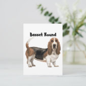 Carte Postale Basset Hound (Debout devant)