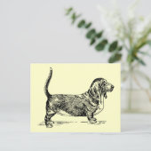 Carte Postale Basset_Hound (Debout devant)