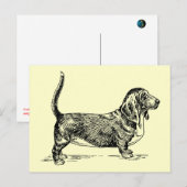 Carte Postale Basset_Hound (Devant / Derrière)