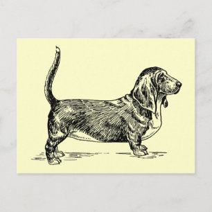 Carte Postale Basset_Hound