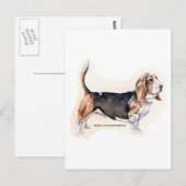 Carte postale Basset Hound (Devant / Derrière)