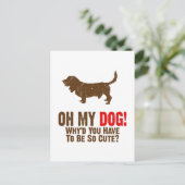 Carte Postale Basset Hound (Debout devant)