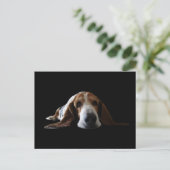 Carte Postale Basset Hound allongé (Debout devant)