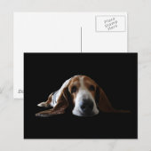 Carte Postale Basset Hound allongé (Devant / Derrière)