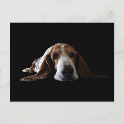 Carte Postale Basset Hound allongé (Devant)