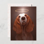 Carte Postale Basset Hound Angel (Devant / Derrière)